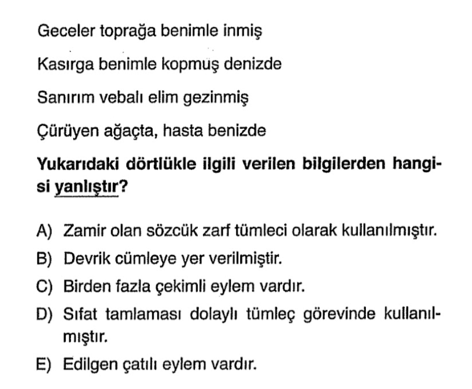 Soru Görseli